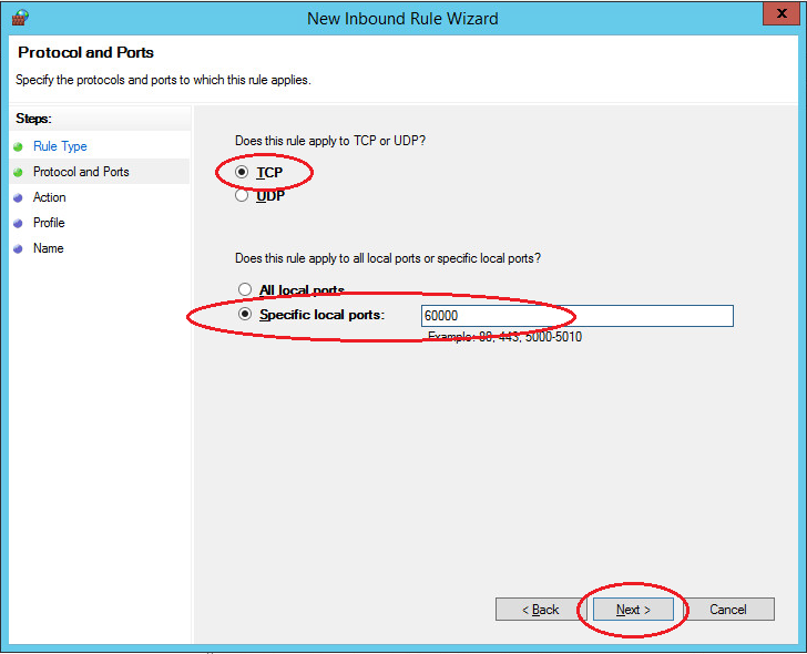 windows server new port input