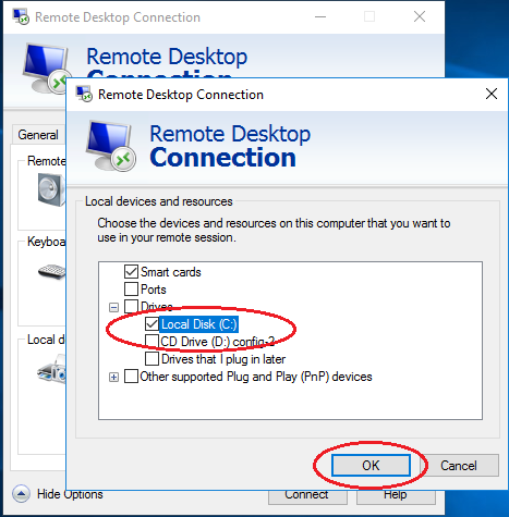 RDP local discs connection
