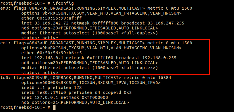 freebsd re-enter "ifconfig"